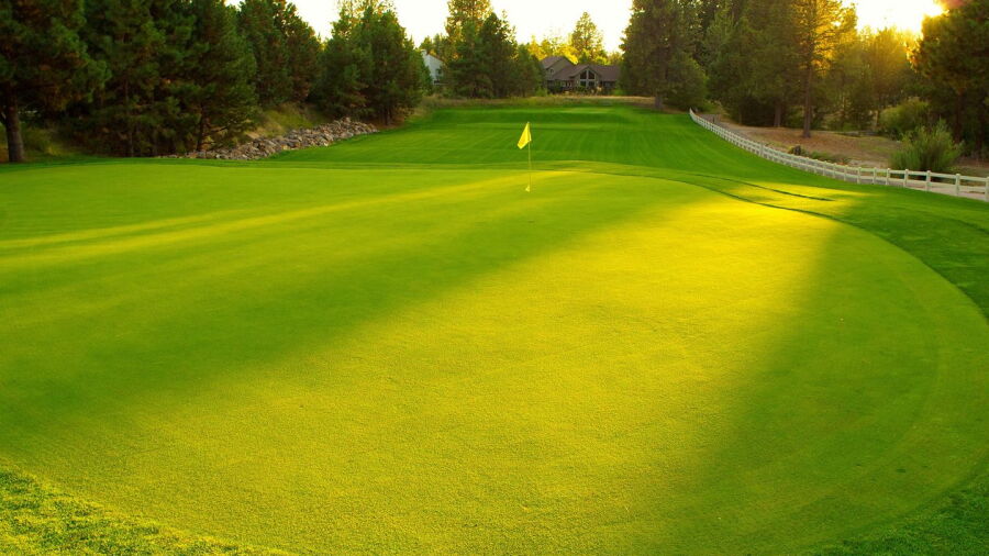 Old Back Nine
