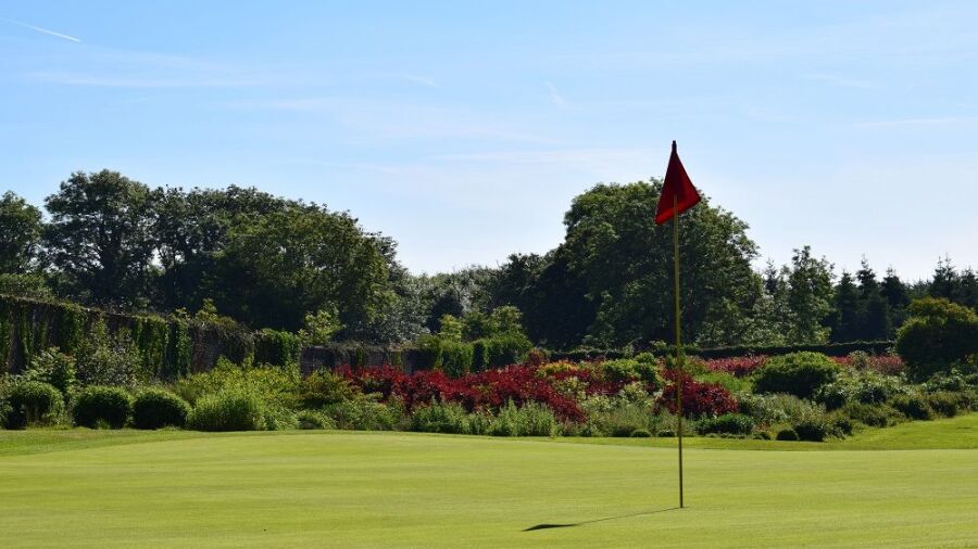 New Forest Golf: #9