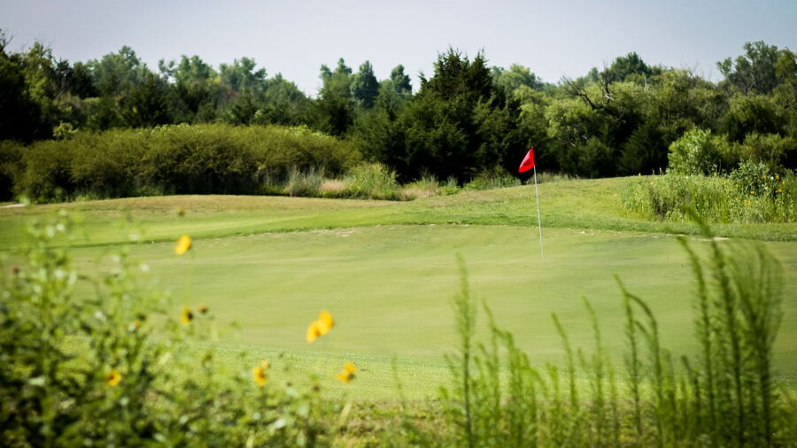 Cottonwood Hills GC: #3