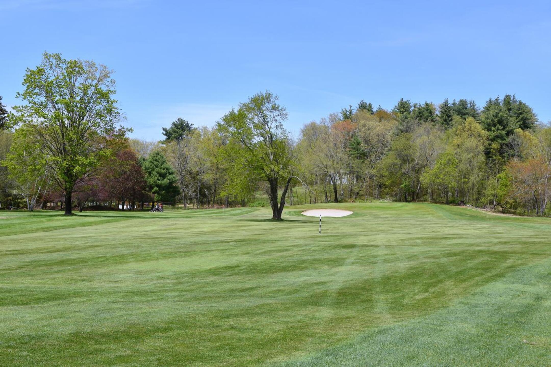 The fourth calls for an element of strategy, owing to its fairway’s great width. My preference is to fly the drive down this right side, avoiding the two ‘fairway trees.’ (Photo submitted by AptlyLinked on 05/04/2025)