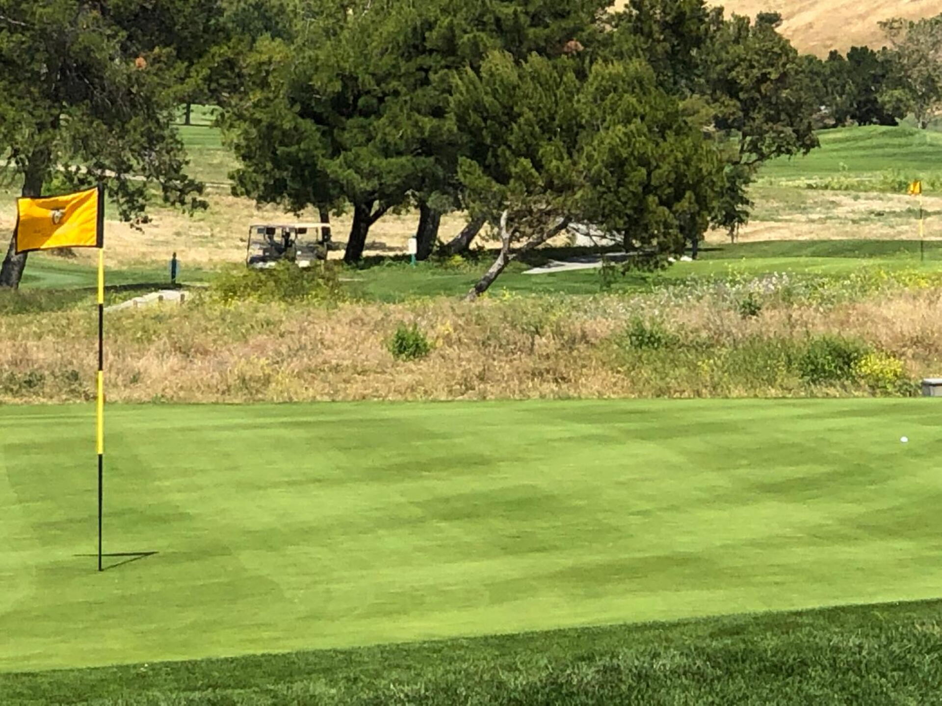 Nice green (Photo submitted by hungkait on 05/23/2019)