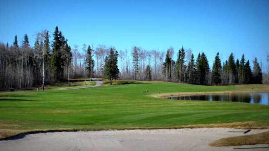 Northern Bear GC