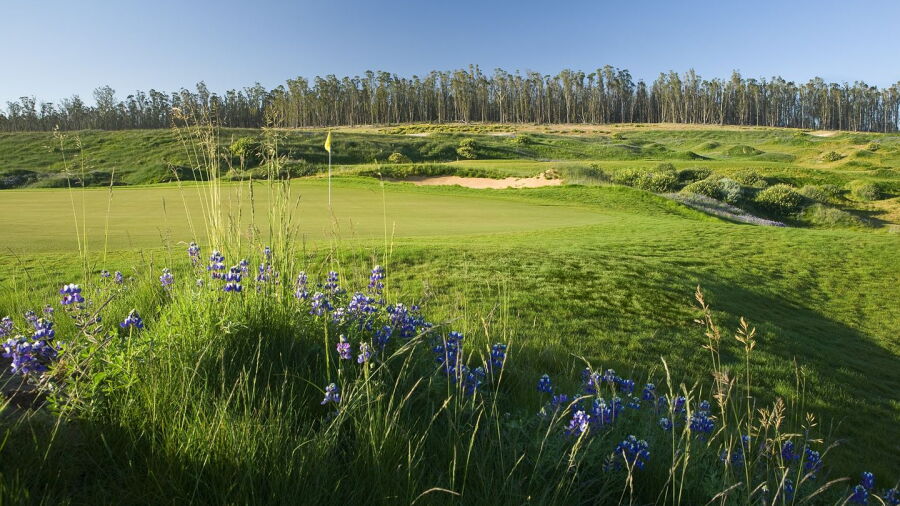 Monarch Dunes GC - Challenge: #11