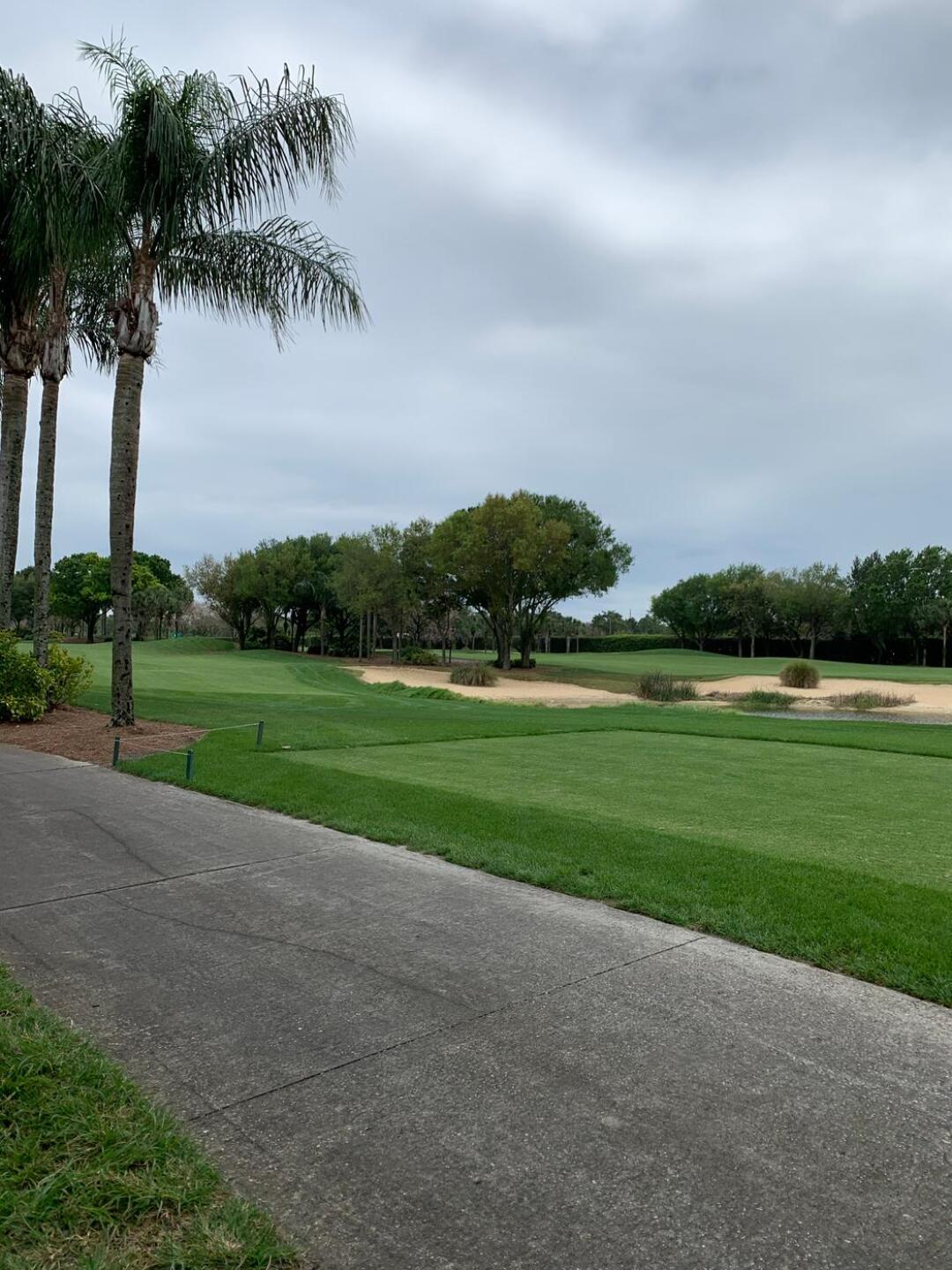 (Photo submitted by TjXIII on 03/27/2020)