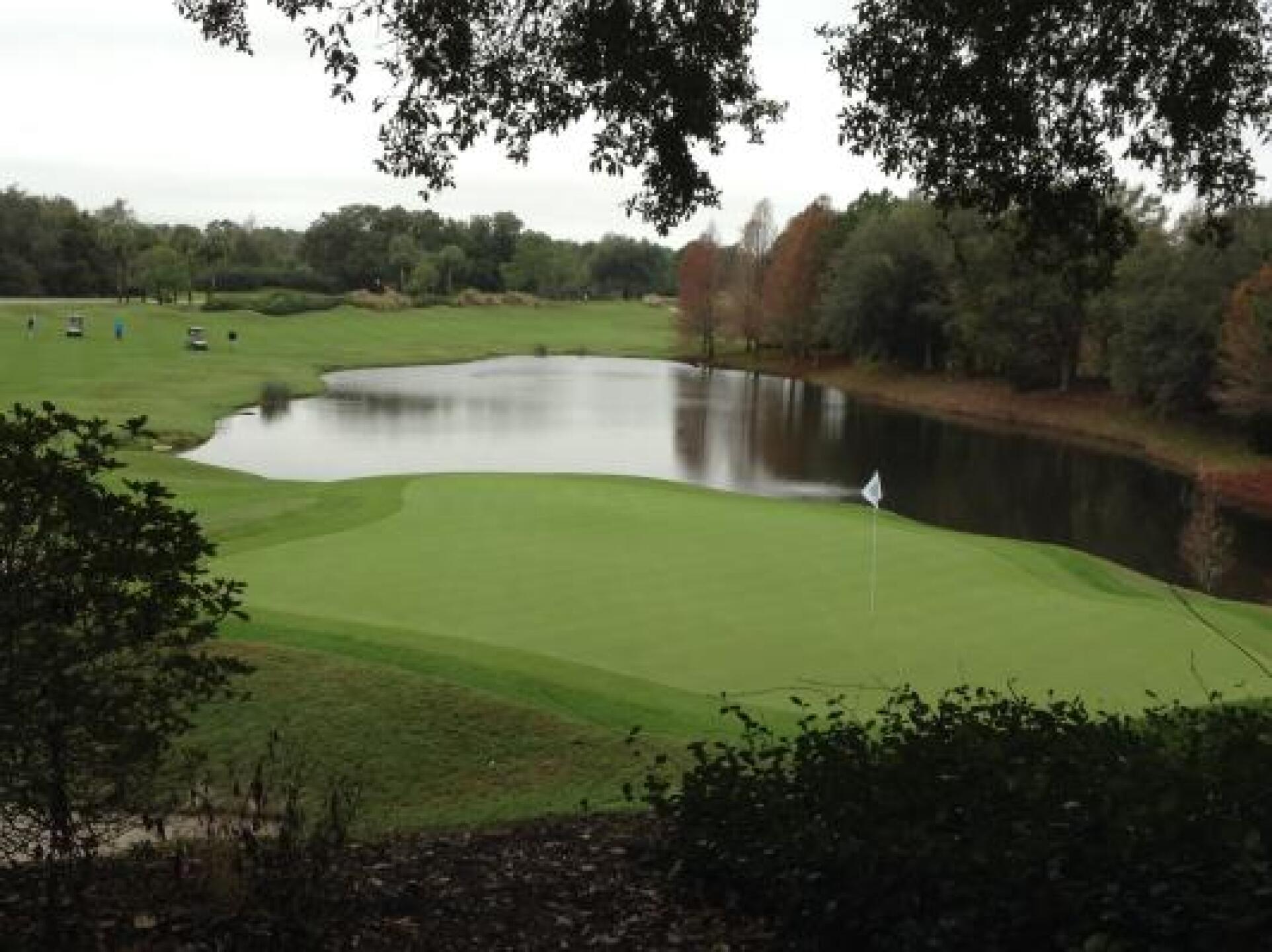 (Photo submitted by KatherineSokol on 01/01/2015)