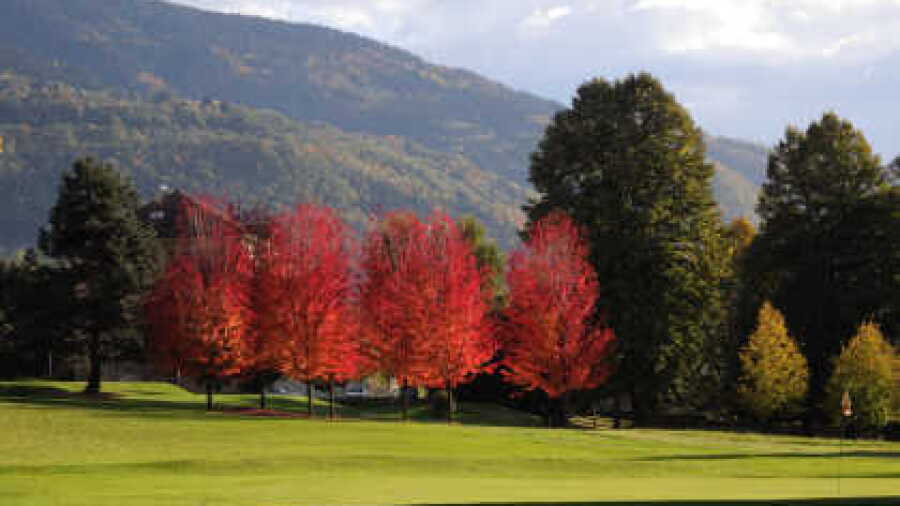Uriage GC