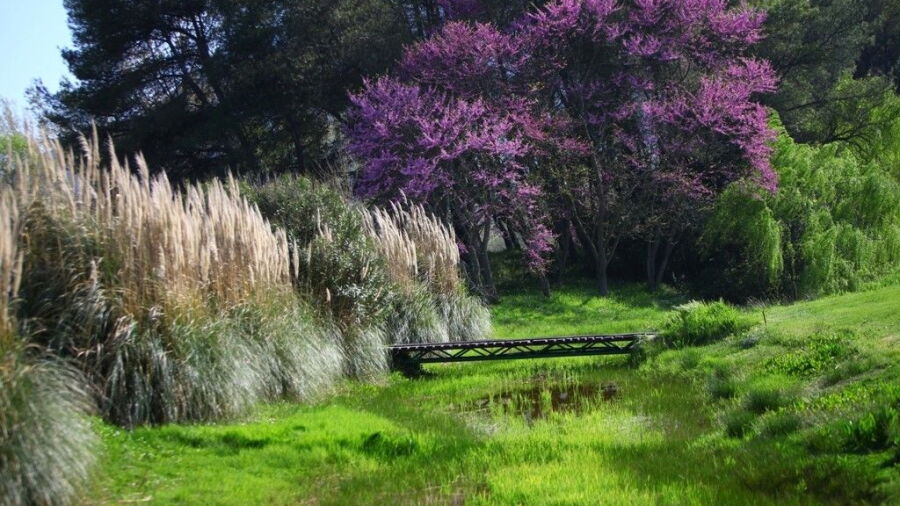 Corfu GC