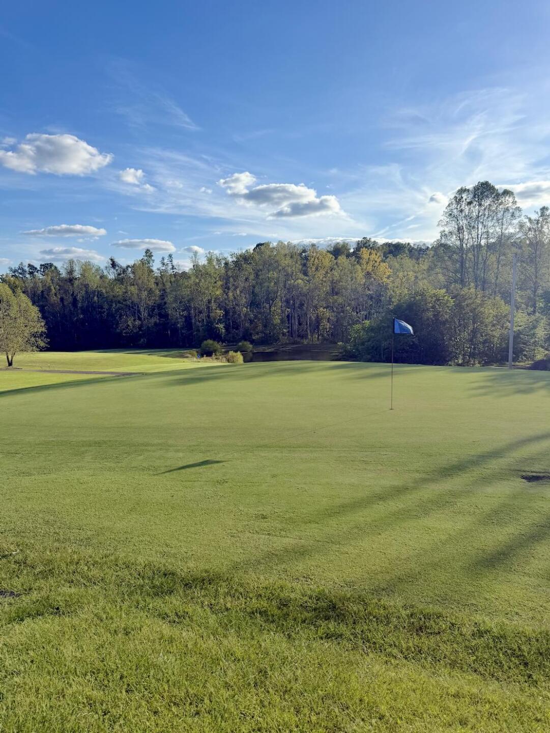 (Photo submitted by eDhjwCpdAz2HaY97ql98 on 10/02/2025)