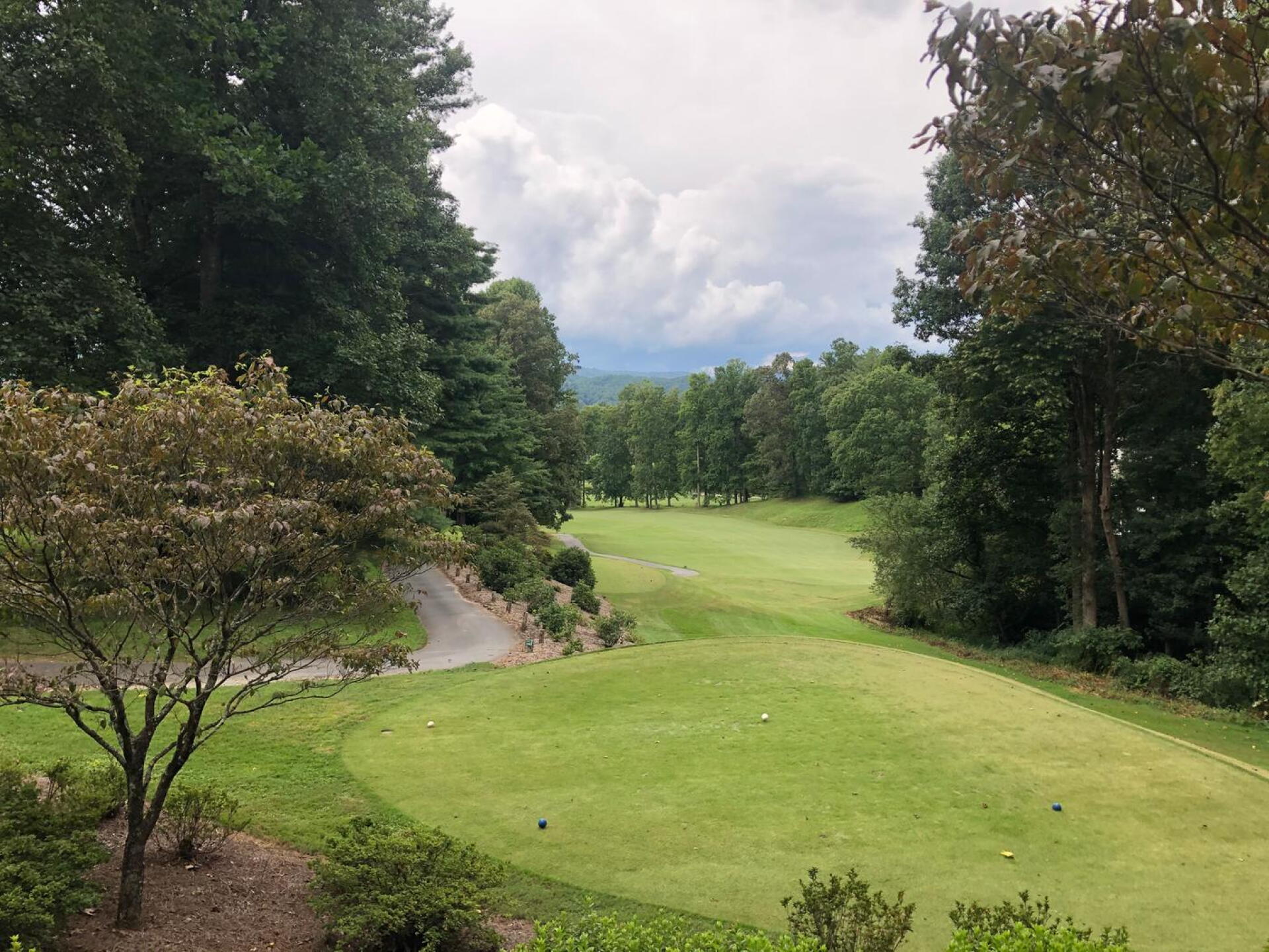 Blue Ridges in the Background!! (Photo submitted by u935426237 on 08/26/2020)