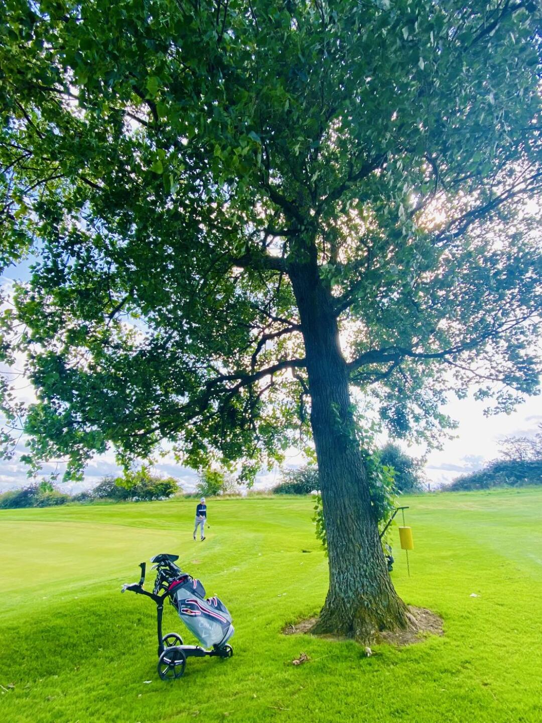 (Photo submitted by Togolfornottogolf on 08/23/2023)