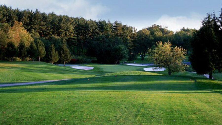 Honey Run GCC