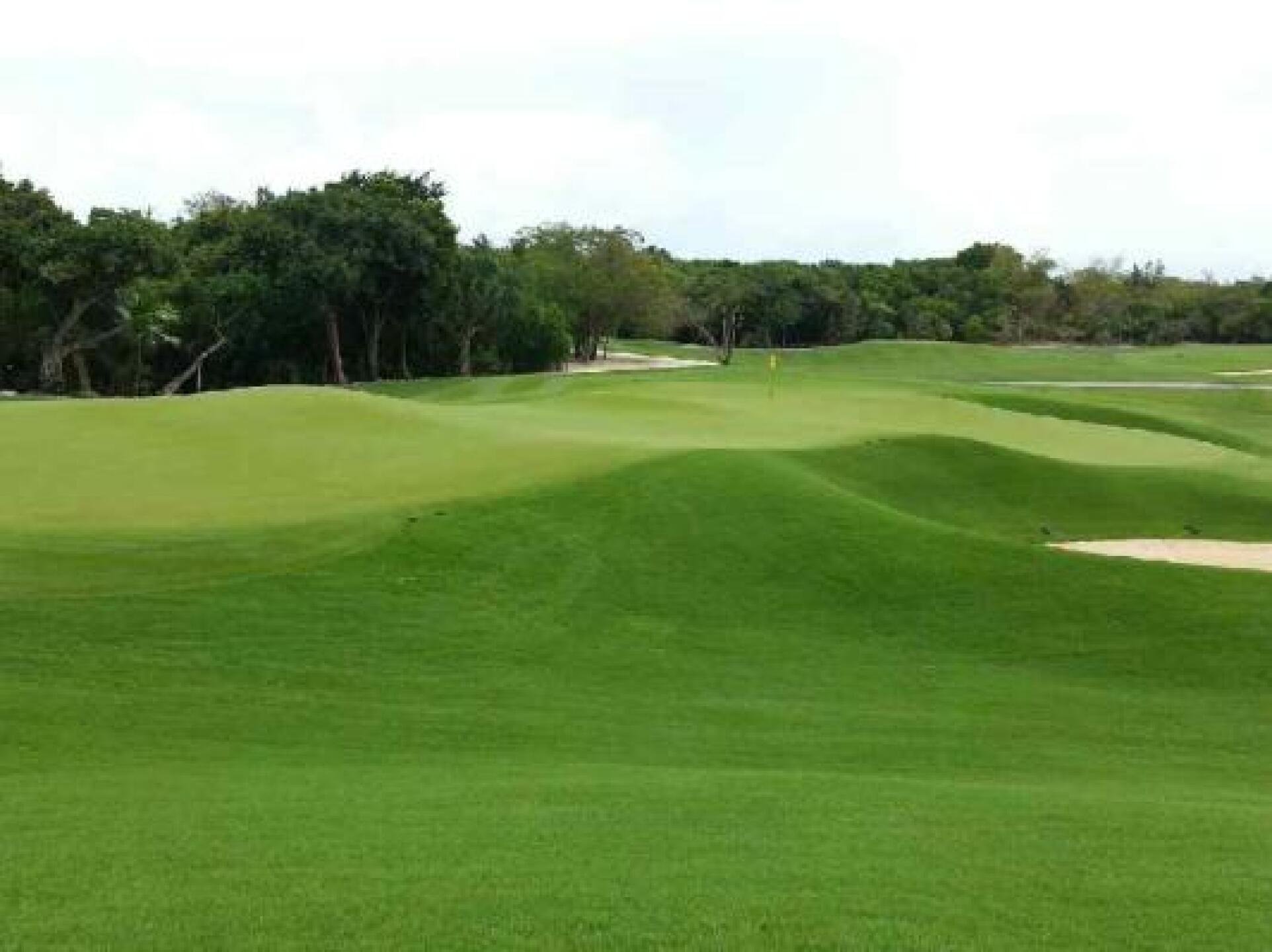 And then you figure out this green (Photo submitted by Melb305 on 09/08/2014)