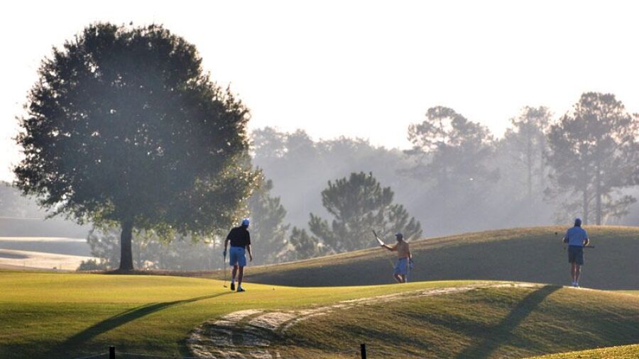 Black Bear GC