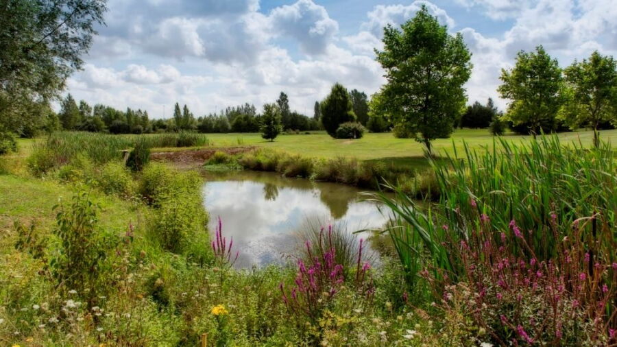 Metz-Technopole GC