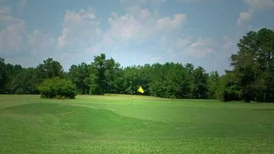 Beaver Lake G & CC: #9
