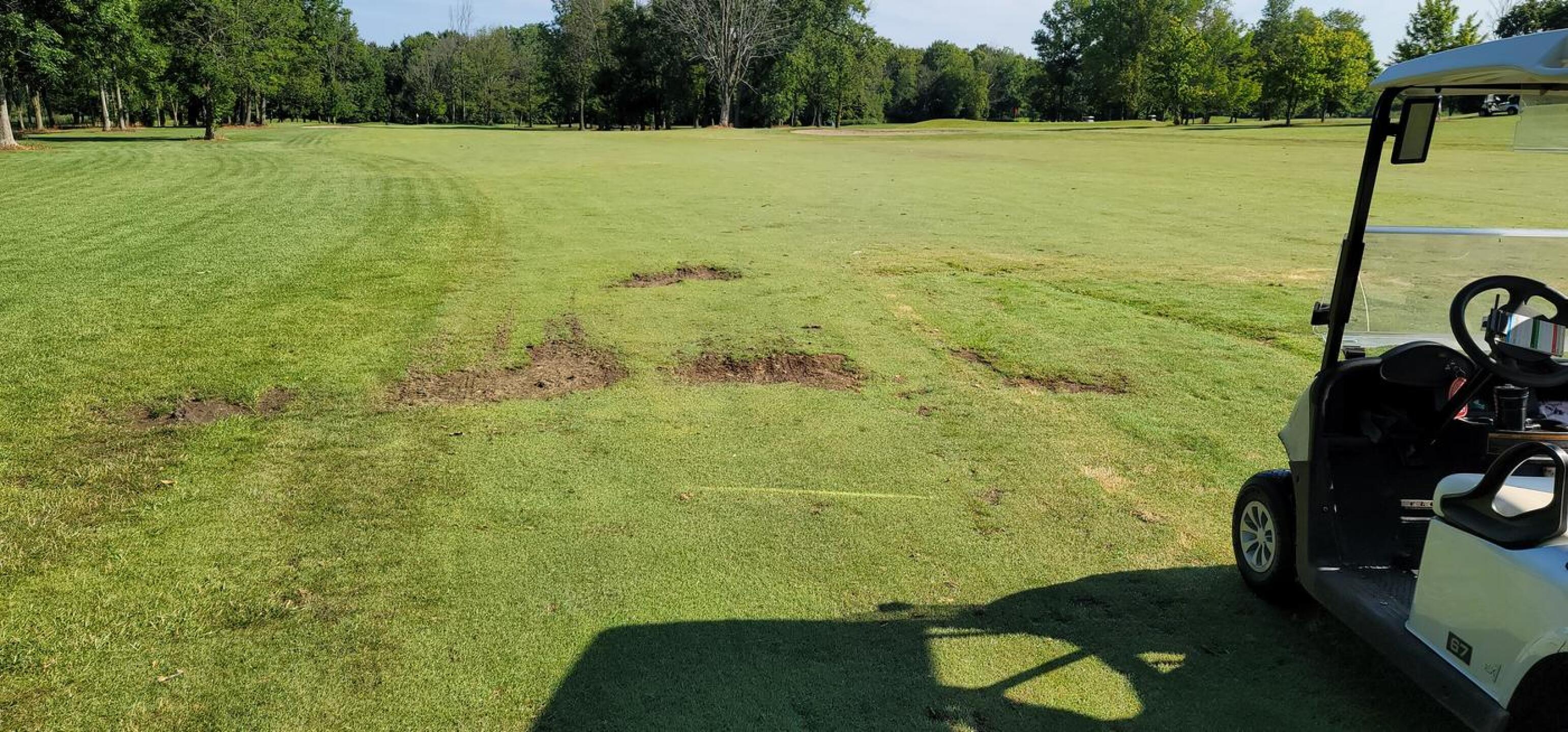 (Photo submitted by YWe598vwnYvphTJbvsaS on 08/05/2021)