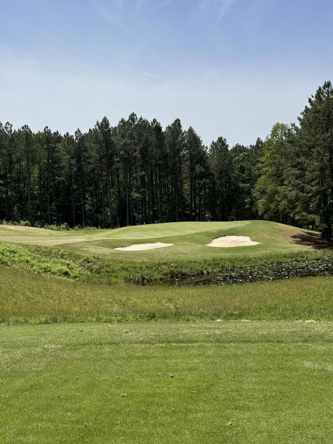 (Photo submitted by andersi on 05/11/2025)