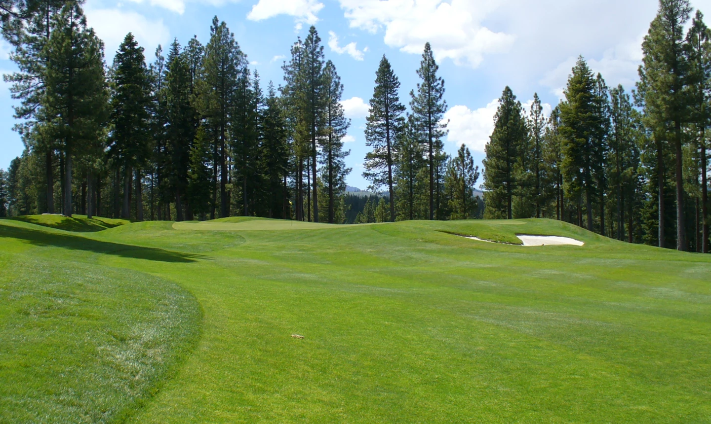 Coyote Moon Golf Course - hole 5