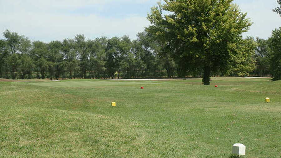 Burning Tree GC
