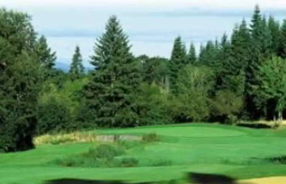 Pumpkin Ridge GC - Witch Hollow: #6