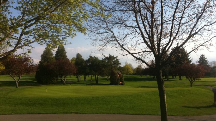 Clifton Springs CC