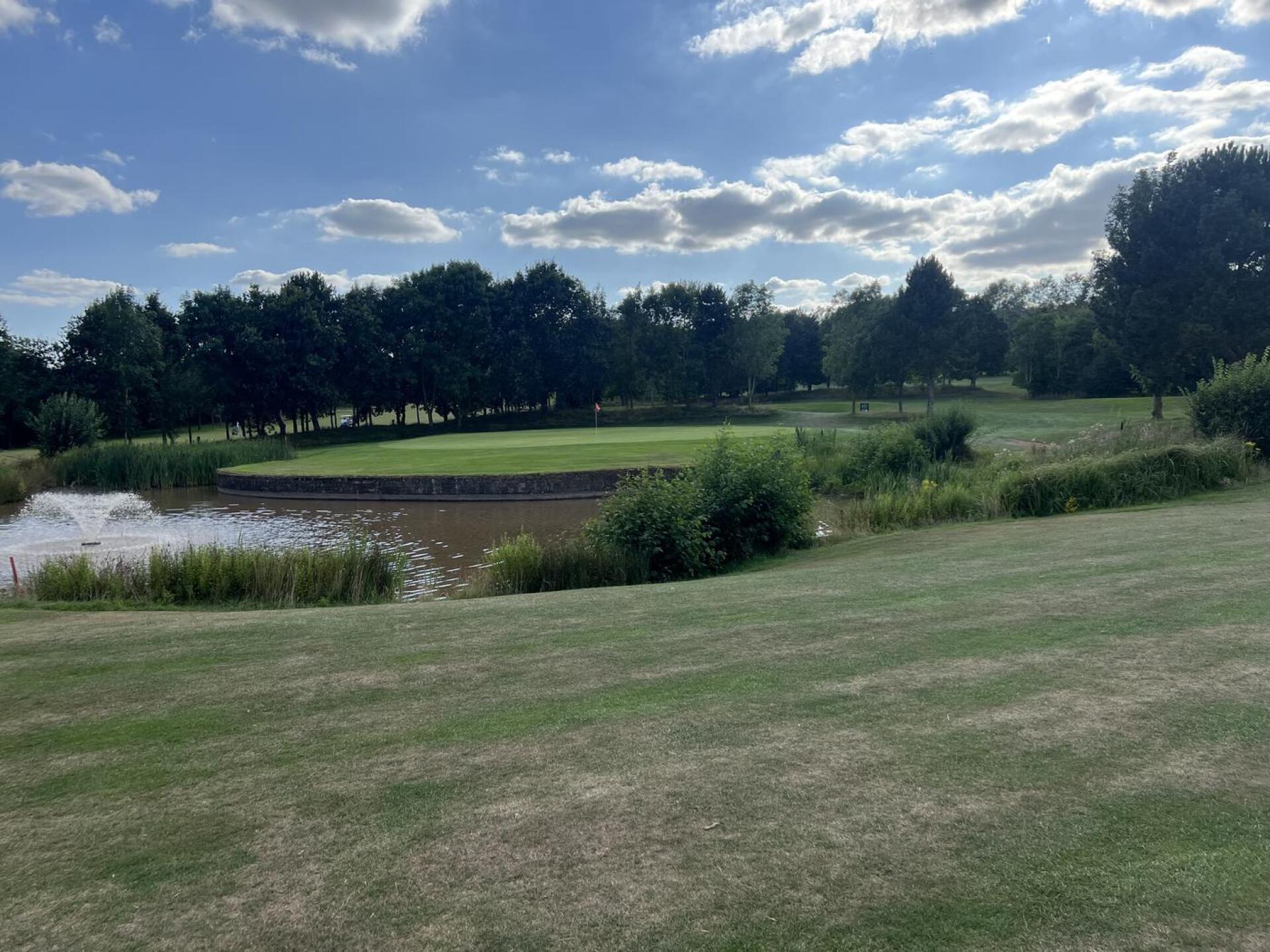 (Photo submitted by jamied188 on 08/11/2024)