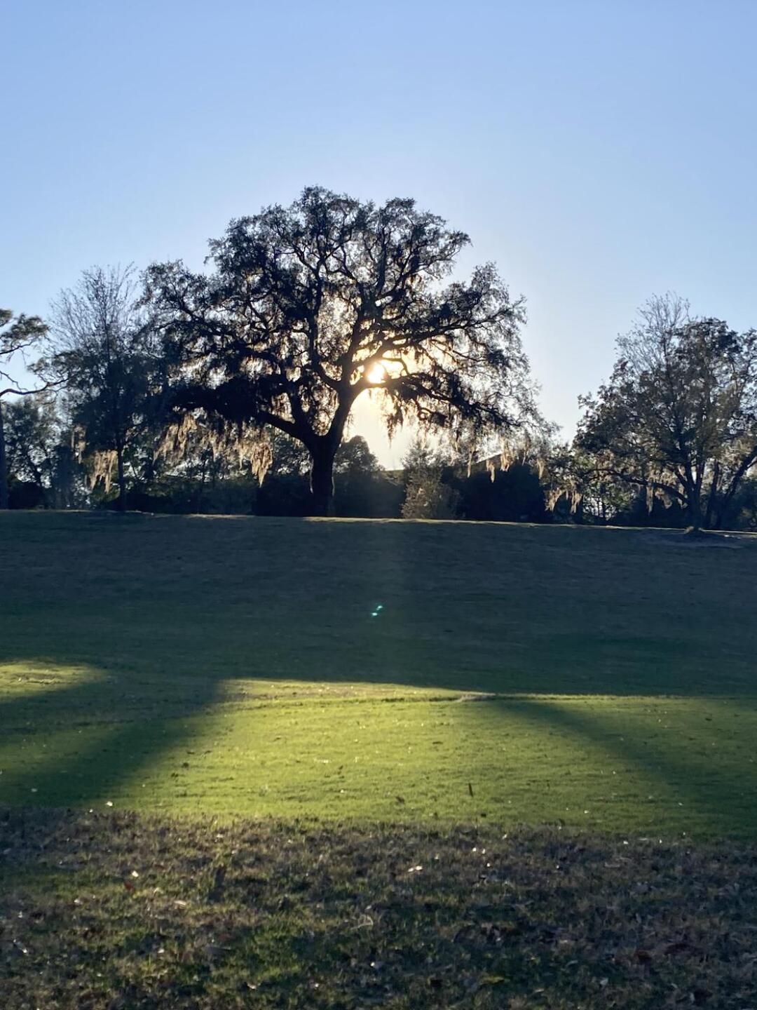 Epic views (Photo submitted by 3aebZdmUpabJ9PnJ6lVv on 02/18/2026)