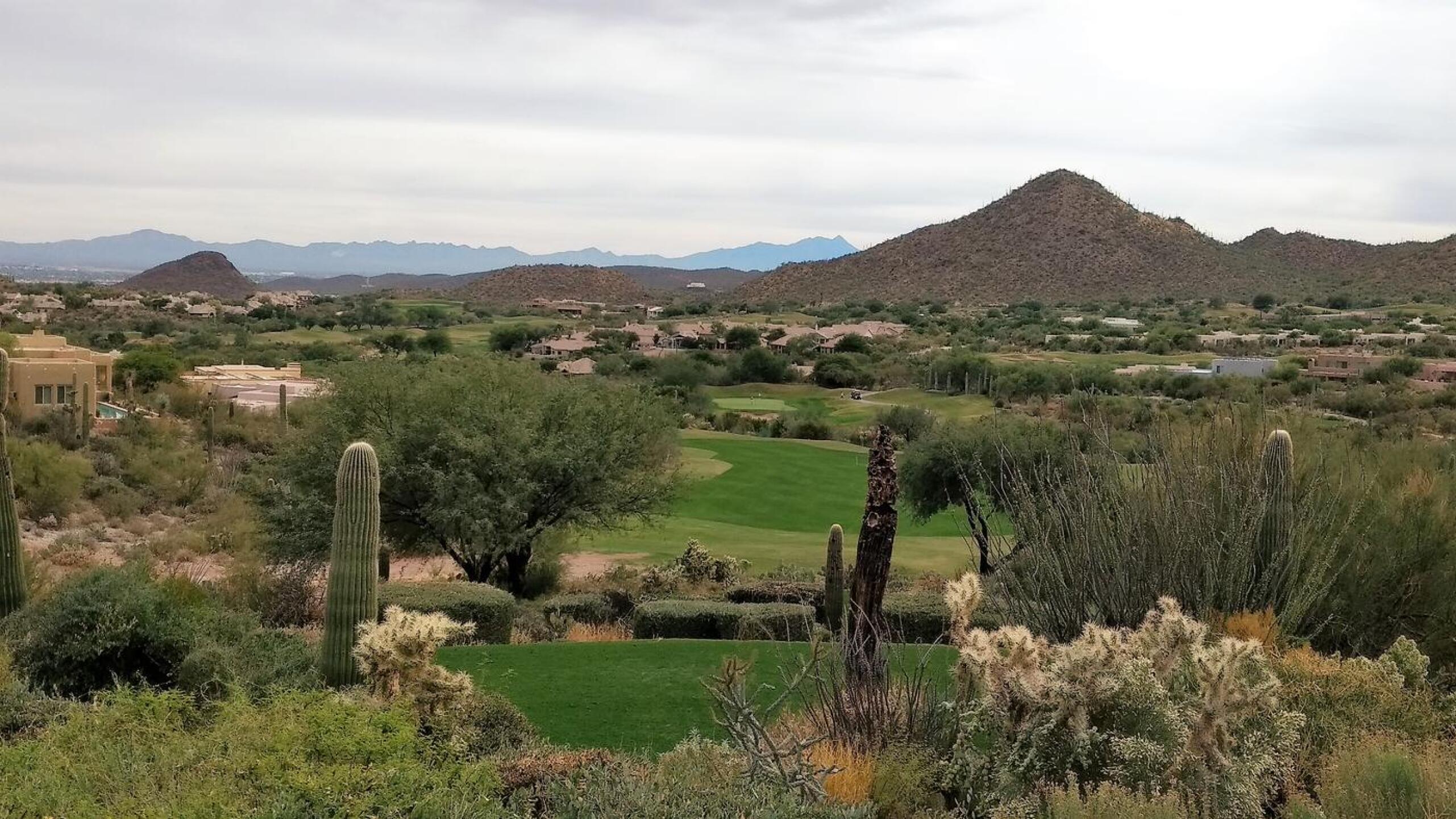 (Photo submitted by readski on 11/14/2017)