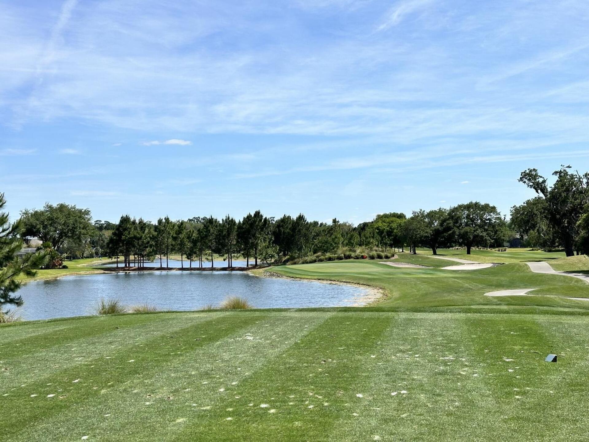 (Photo submitted by u314161790046 on 04/10/2024)