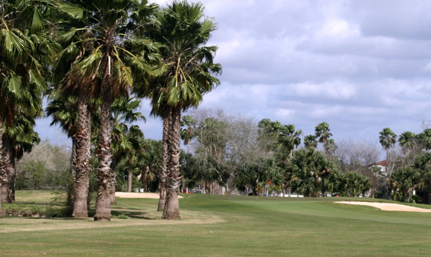 Rancho Viejo Resort - Ninth Hole