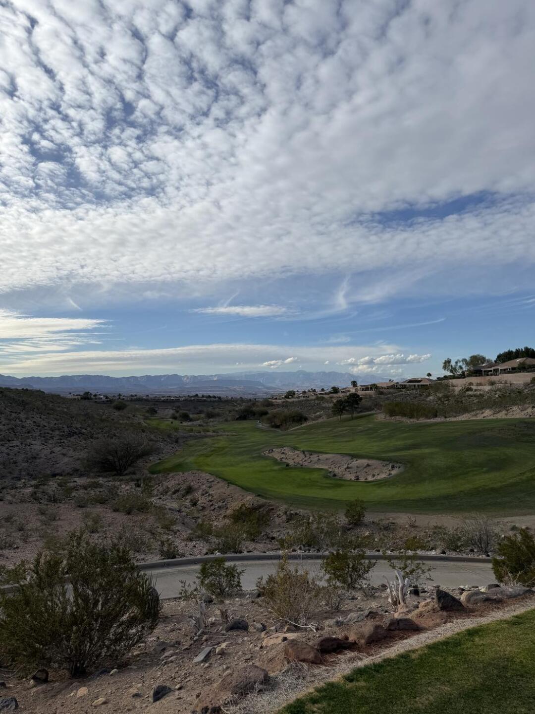 (Photo submitted by ortega29 on 02/13/2026)