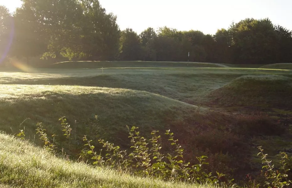 From the rough at Lindfield