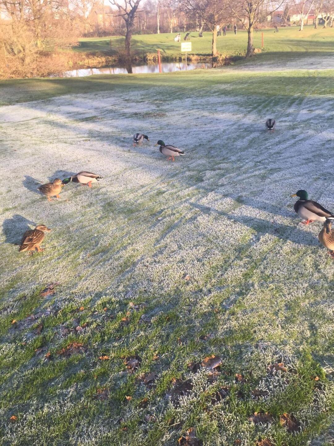 Taken at 12:30 (Photo submitted by SFGolf1992 on 12/29/2016)