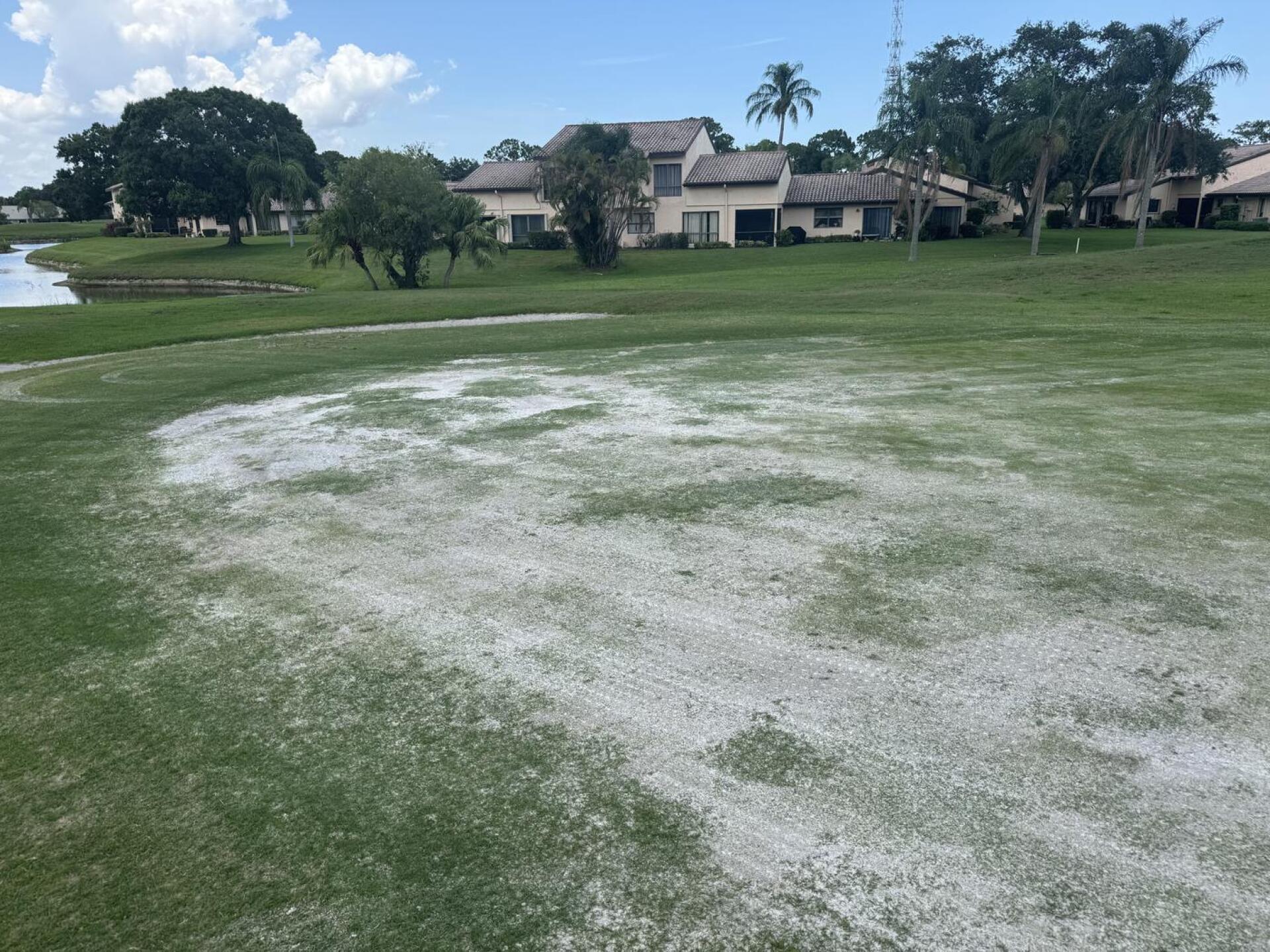 (Photo submitted by u314164246586 on 05/24/2025)