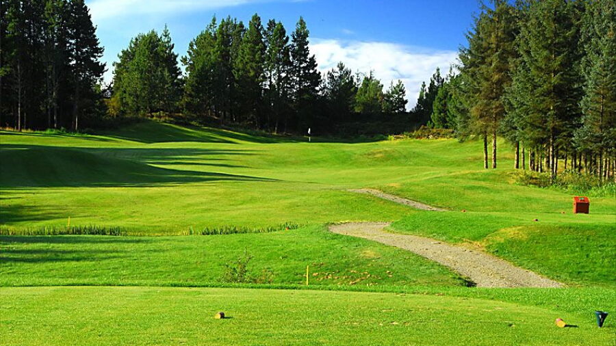 Meland GC: #4