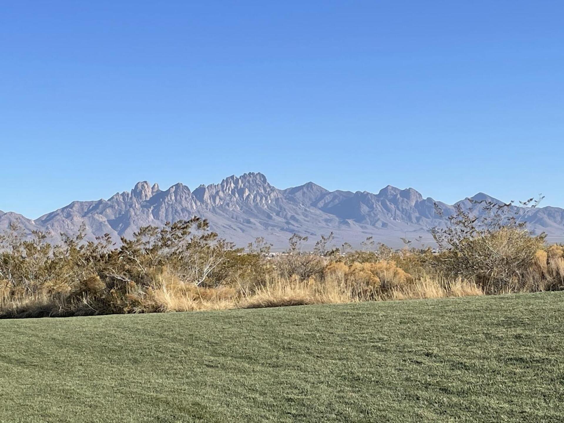 Organs (Photo submitted by Chris7642798 on 12/23/2020)