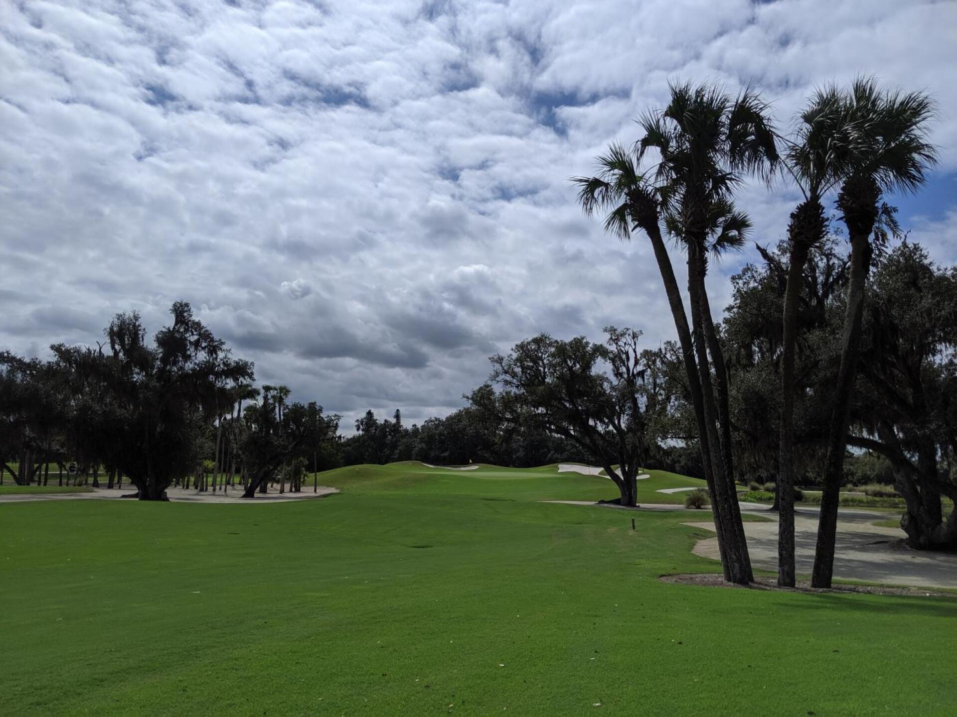 (Photo submitted by AlexanderGR8T on 10/14/2019)