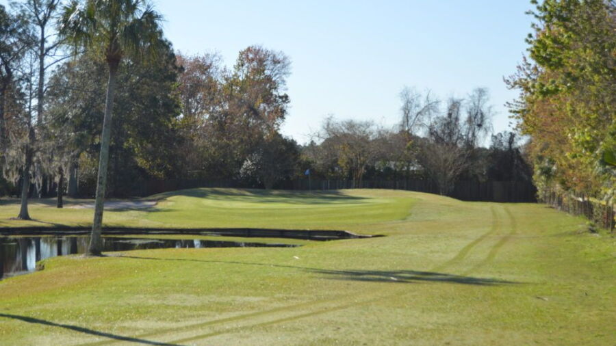 Palm Valley GC: #6