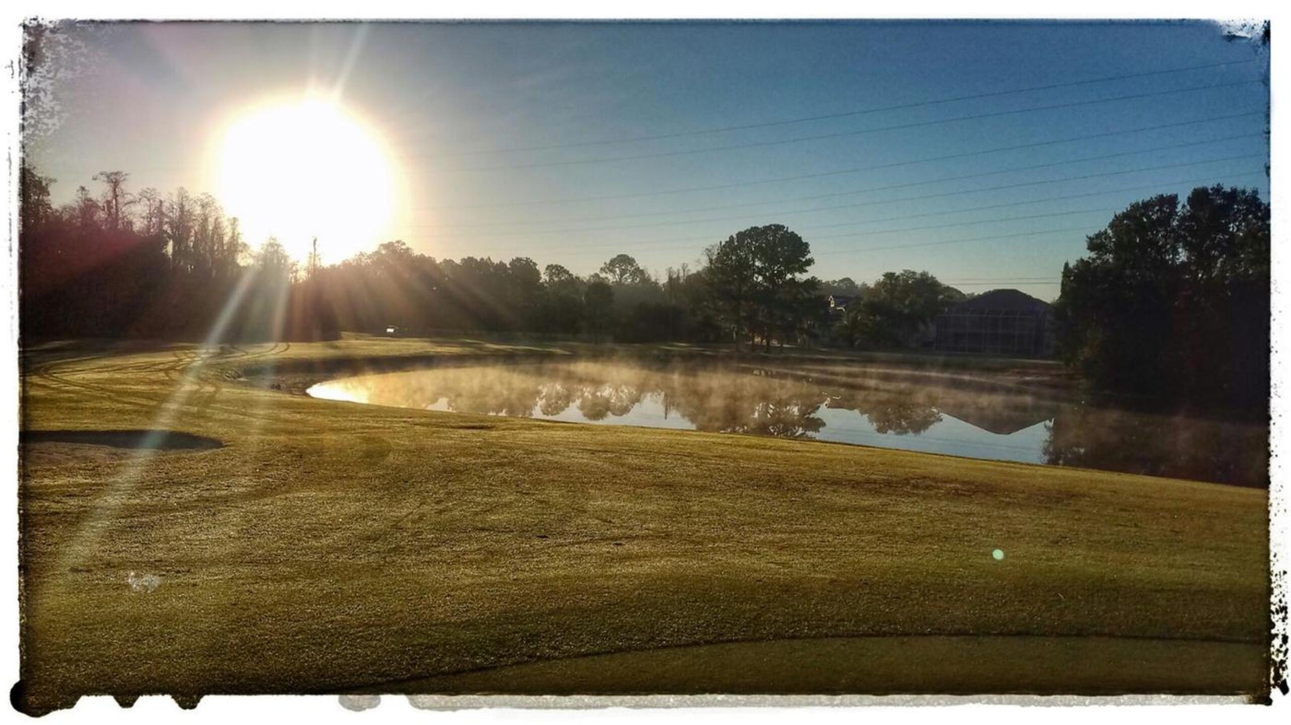 (Photo submitted by recari on 02/11/2017)