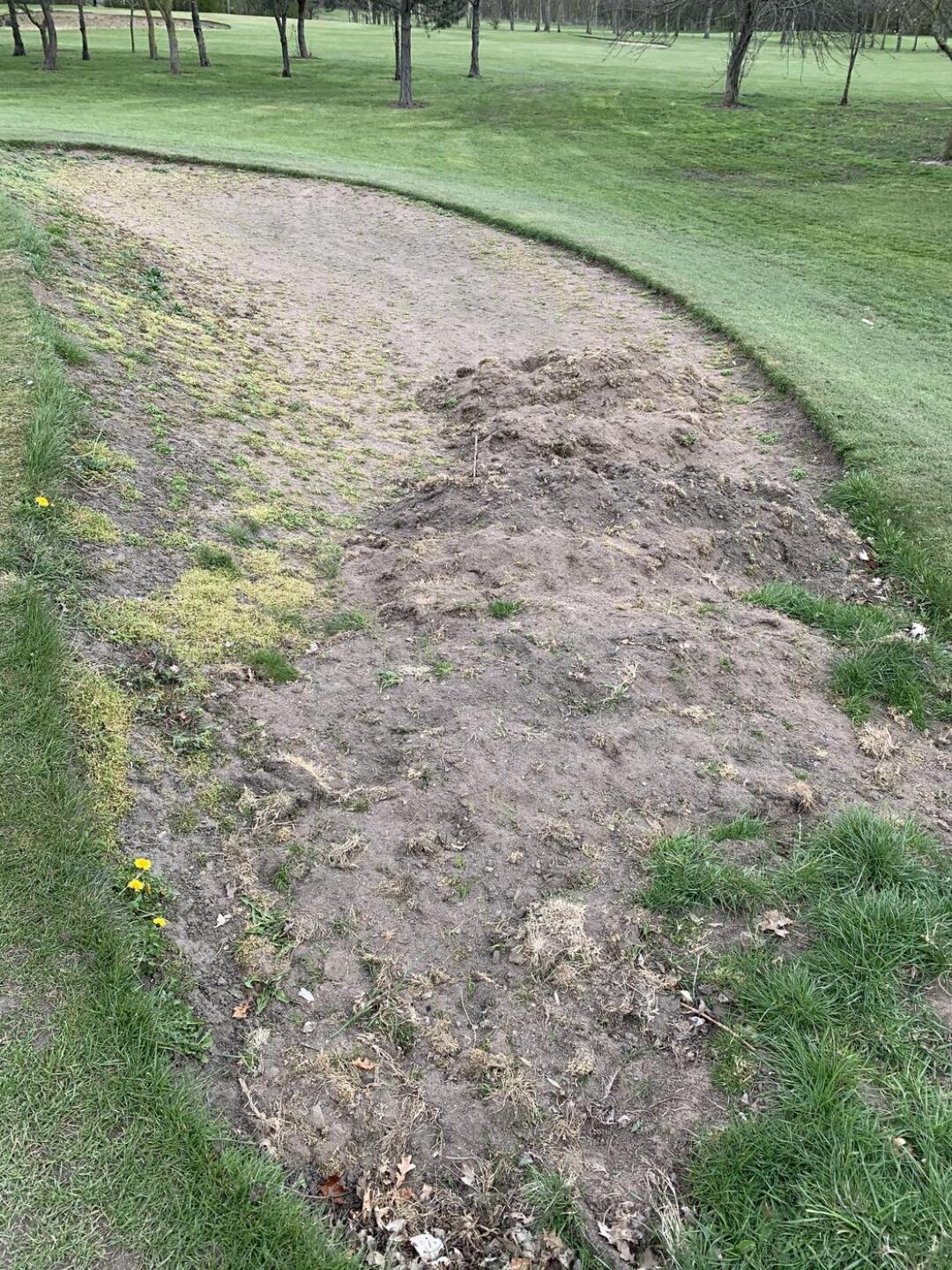 (Photo submitted by Keith1987 on 04/11/2021)