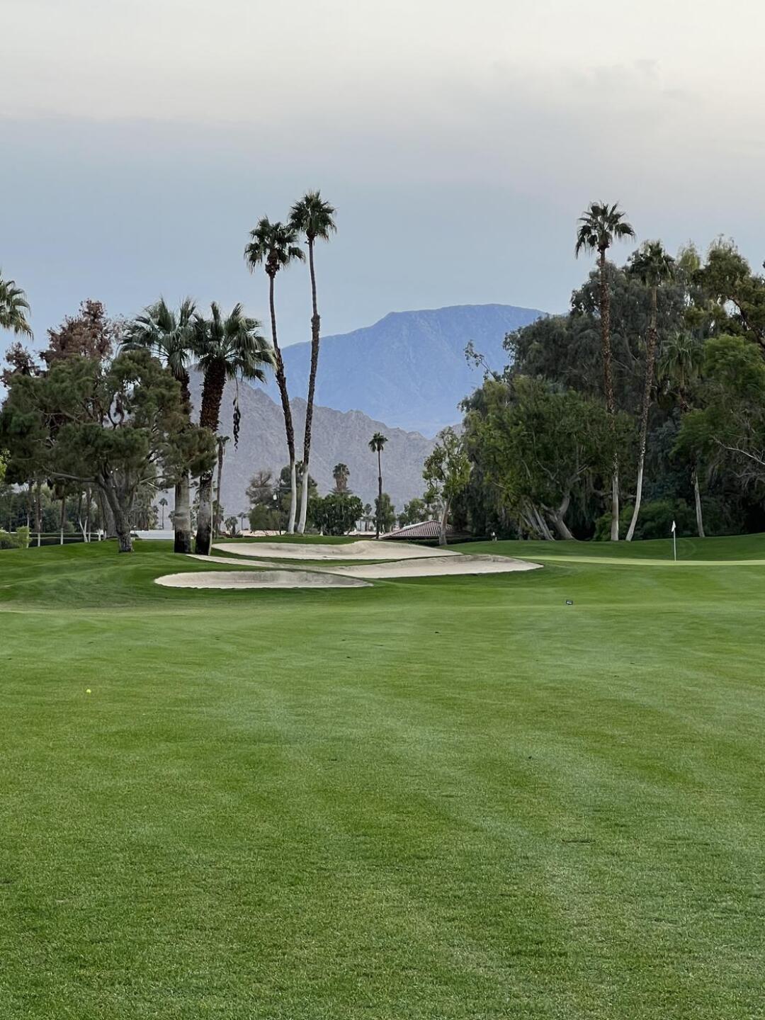 (Photo submitted by dpaettie on 12/05/2022)