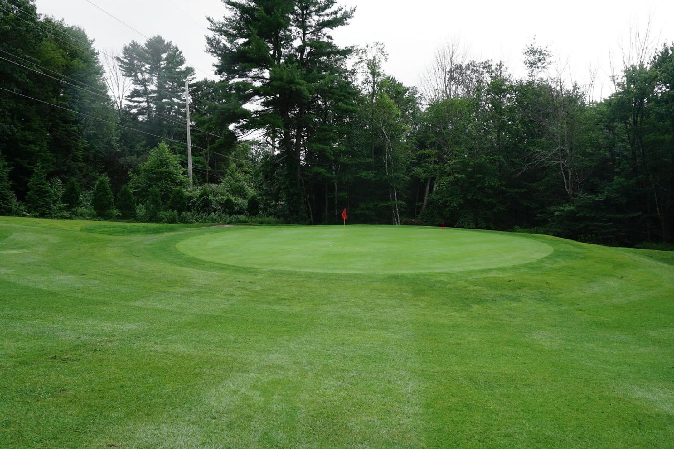 The third green complex features classic contouring. Play the slopes. (Photo submitted by AptlyLinked on 07/20/2021)