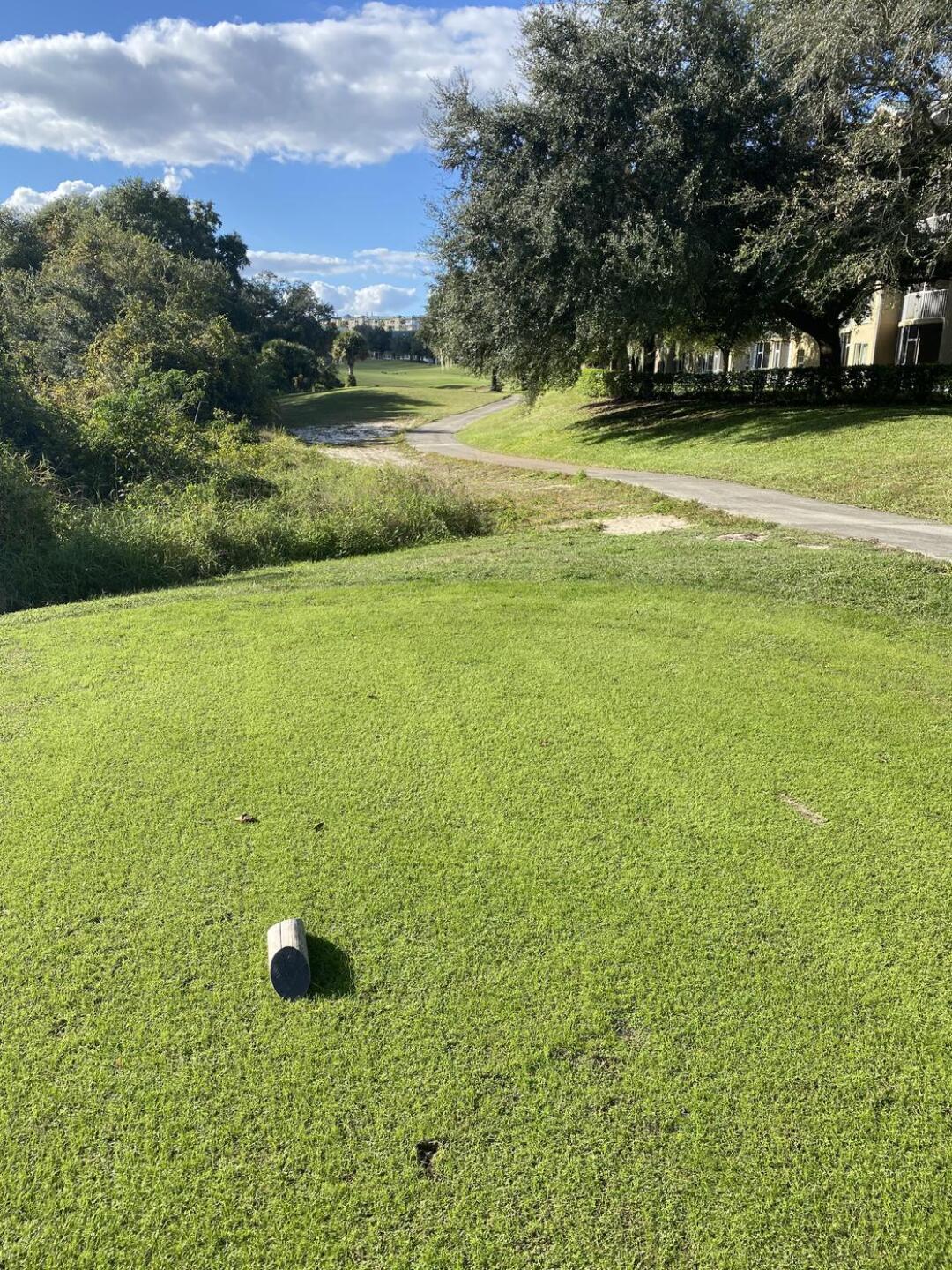 (Photo submitted by RonnoB on 12/01/2021)