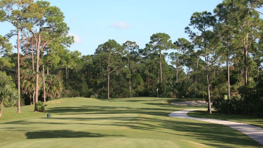 Sandhill Crane GC