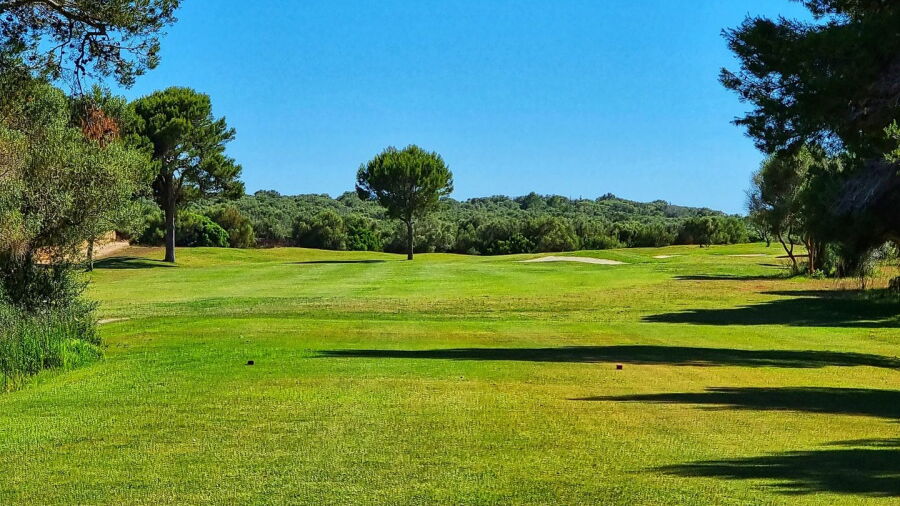 Golf Maioris: #14