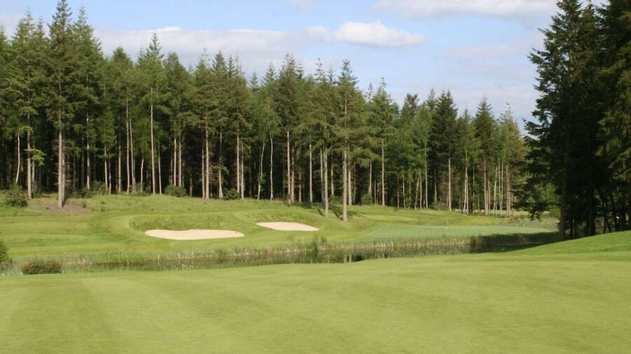 Remedy Oak Golf: #2