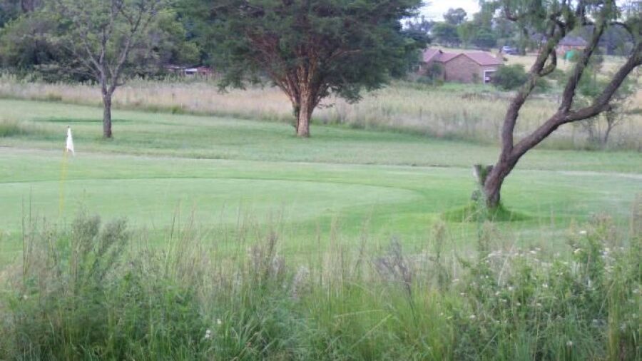 Sandonia GC: #5