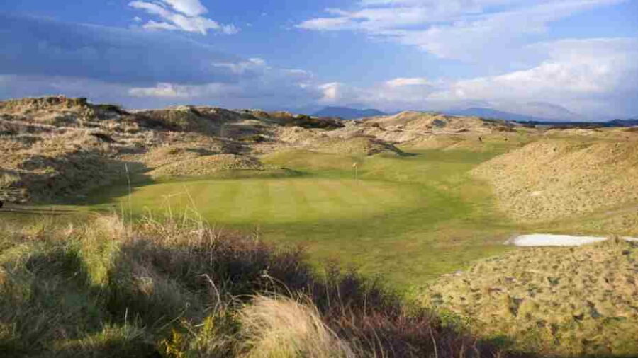 Royal St David 15th