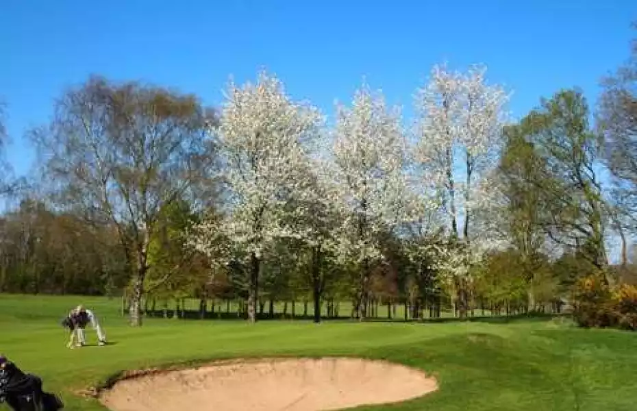 Henley GC: #11