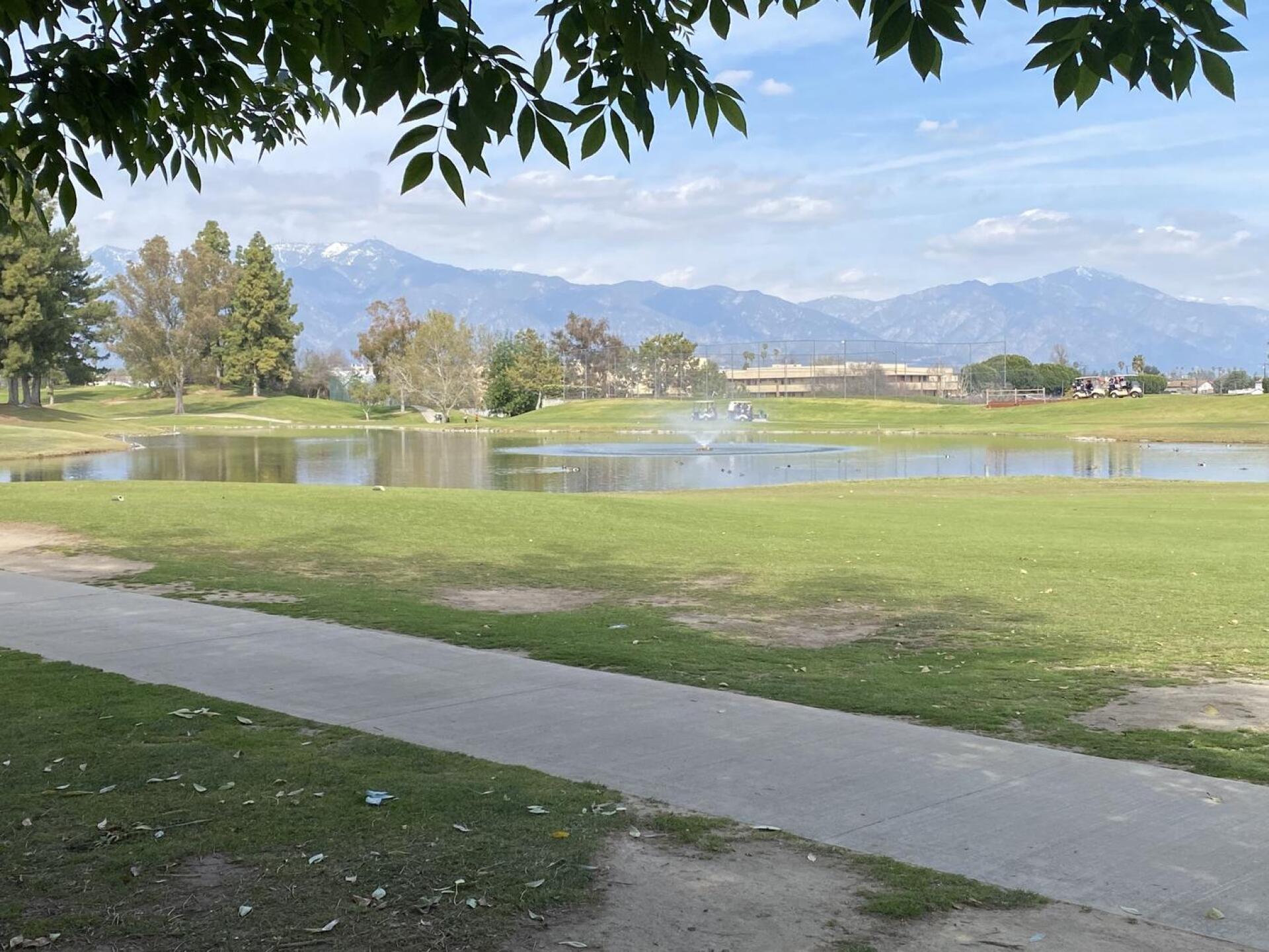 (Photo submitted by dajamazz on 03/09/2023)